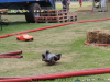 DSCN1498_DxO